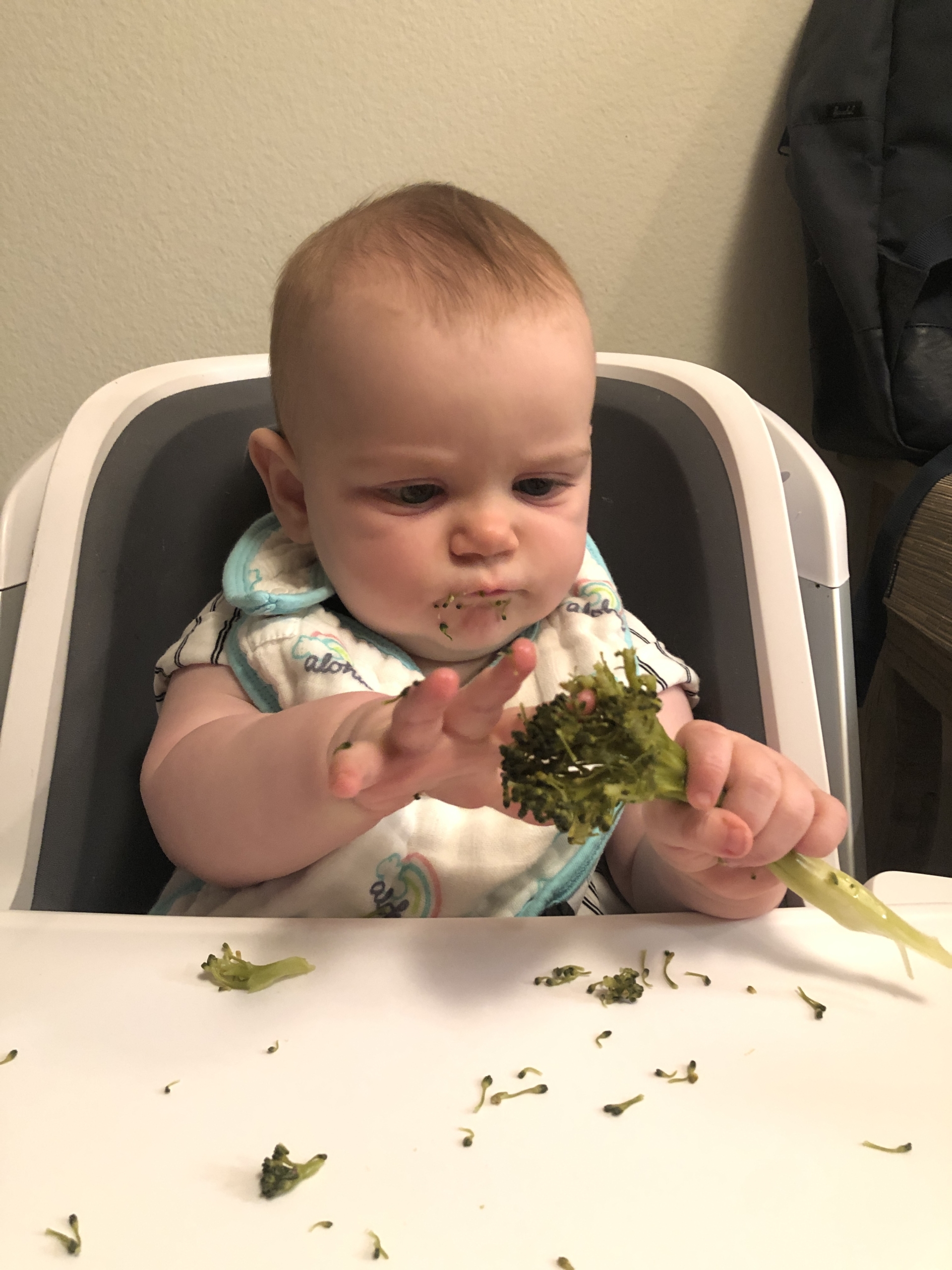 Baby Solids: Baby Led Weaning vs Purées – Kelley Ferro