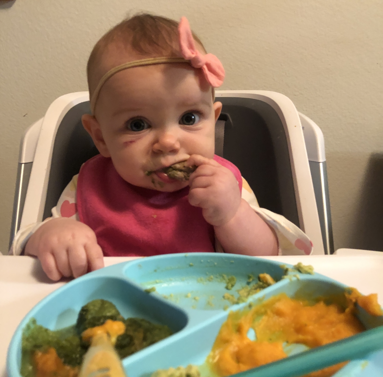 Baby Solids: 6 to 9 Months Baby Food Guide – Kelley Ferro